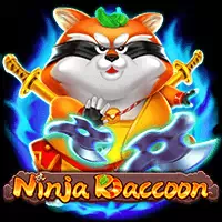 Ninja Raccoon