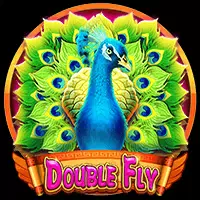 Double Fly