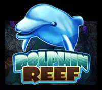 Dolphin Reef