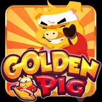 Golden Pig